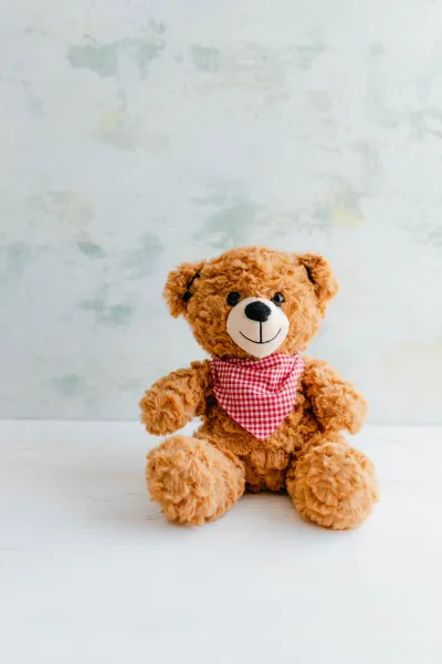 Cuddle Teddy & Roses Combo